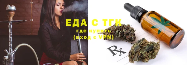 индика Аркадак
