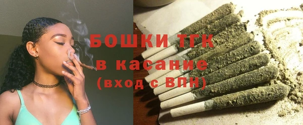индика Аркадак
