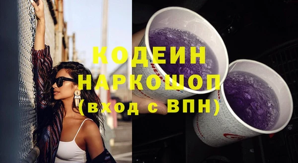 индика Аркадак