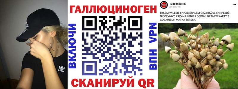 darknet наркотические препараты  Усинск  Галлюциногенные грибы Psilocybe  купить закладку 